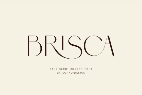 Brisca: A Modern Sans Serif for Polished Design