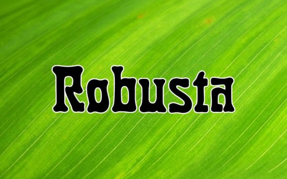 Discover Robusta: A Stunning Font for Creative Designs